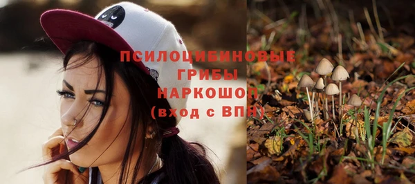 наркотики Ладушкин