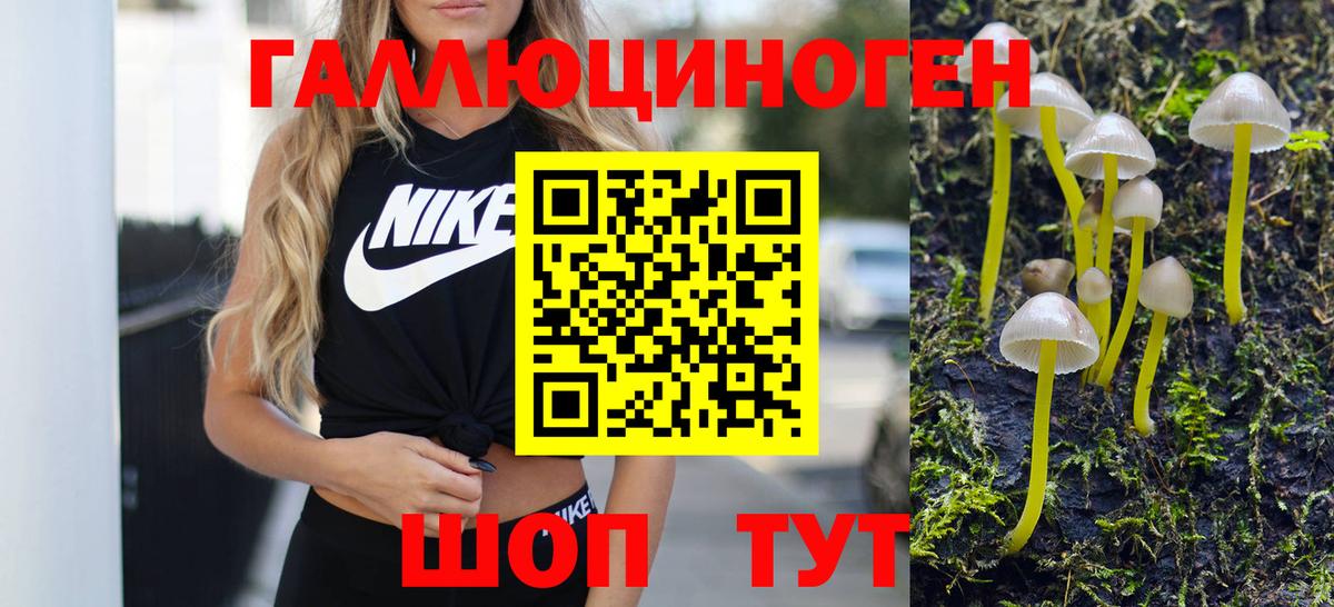 Феодосия  Галлюциногенные грибы Magic Shrooms  Вход с VPN 